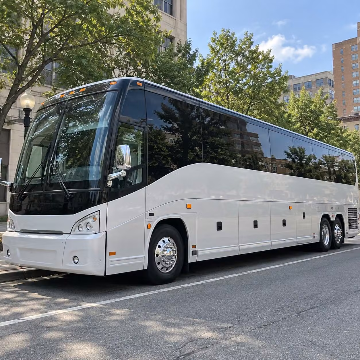 canton sports team fan transportation services