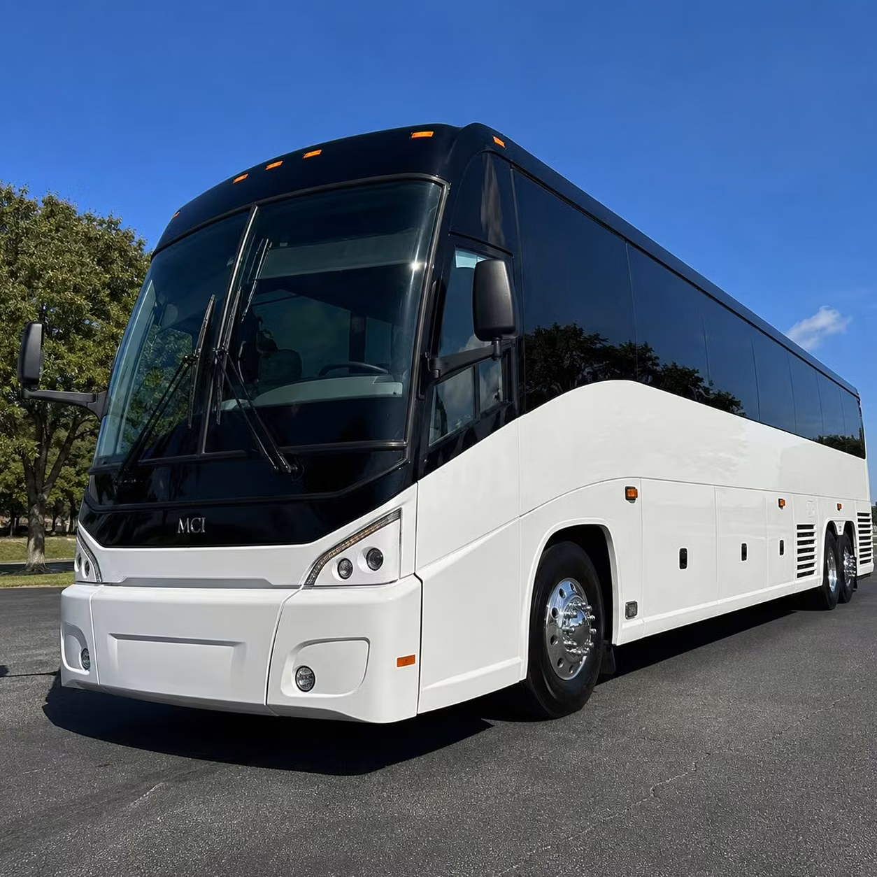 compare long distance transportation options in canton and beyond