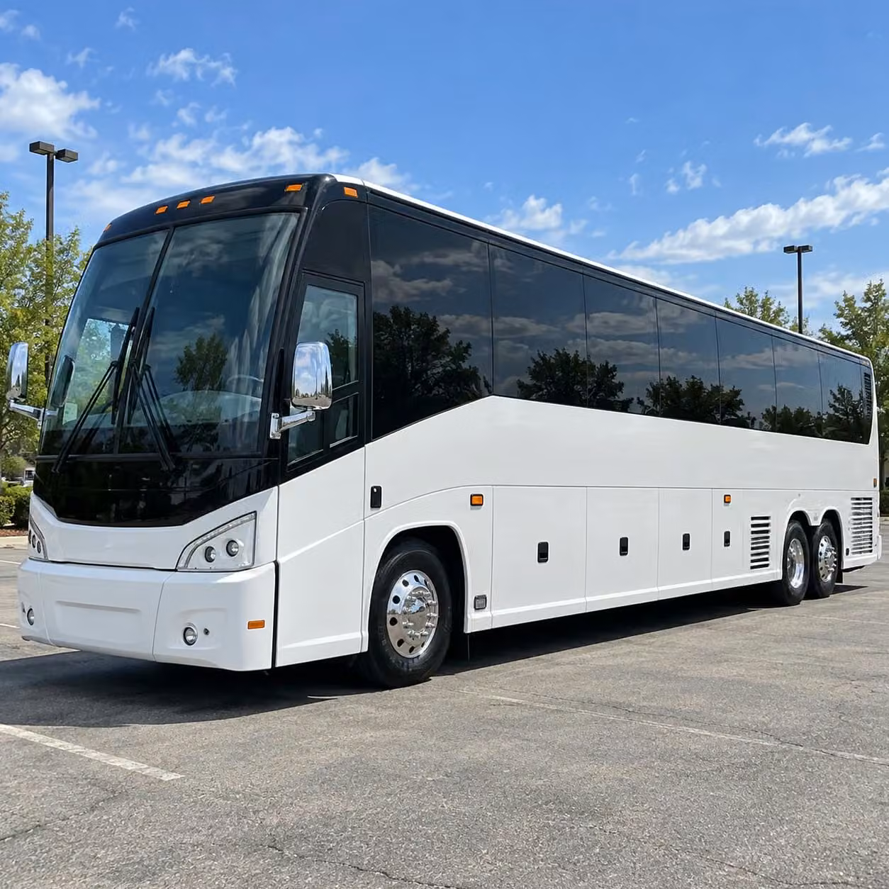 these canton prom buses come loaded with the amenities your group wants